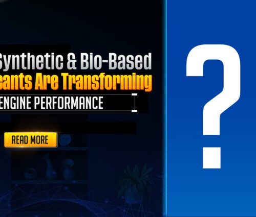 WhatsApp Image 2026-02-19 at 4.22.43 AM WhatsApp Image 2026-02-19 at 4.22.43 AM